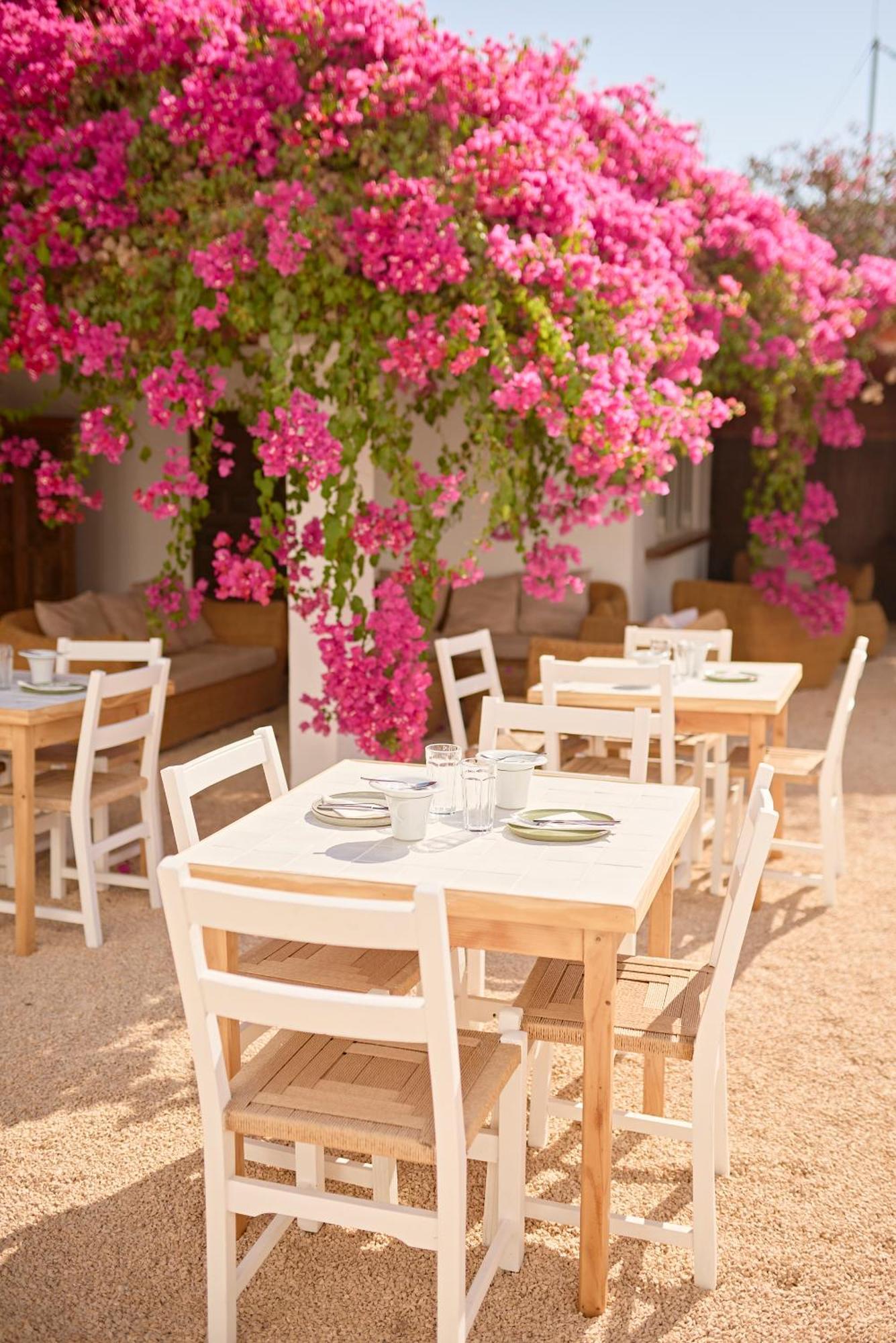 Ibara Ibiza Hotel Boutique Es Cana 외부 사진
